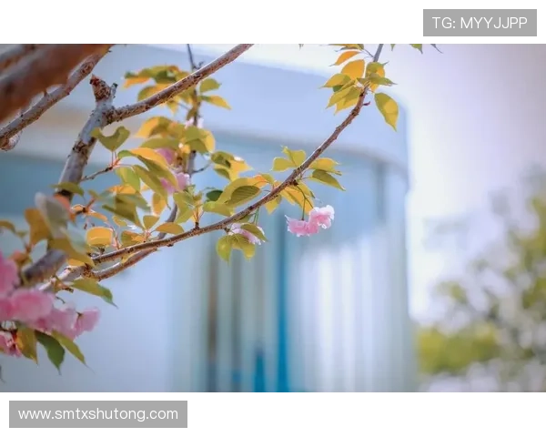 春日局：一场风雅与诗意的邀约